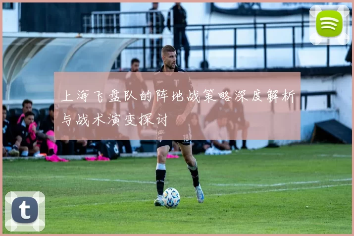 上海飞盘队的阵地战策略深度解析与战术演变探讨