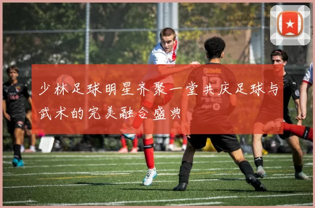 少林足球明星齐聚一堂共庆足球与武术的完美融合盛典