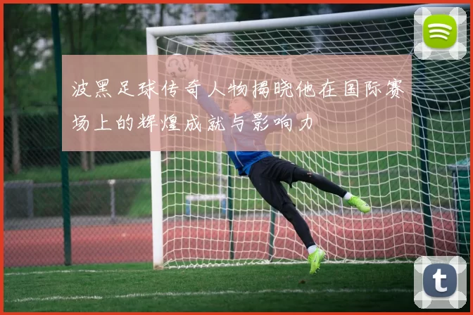 波黑足球传奇人物揭晓他在国际赛场上的辉煌成就与影响力