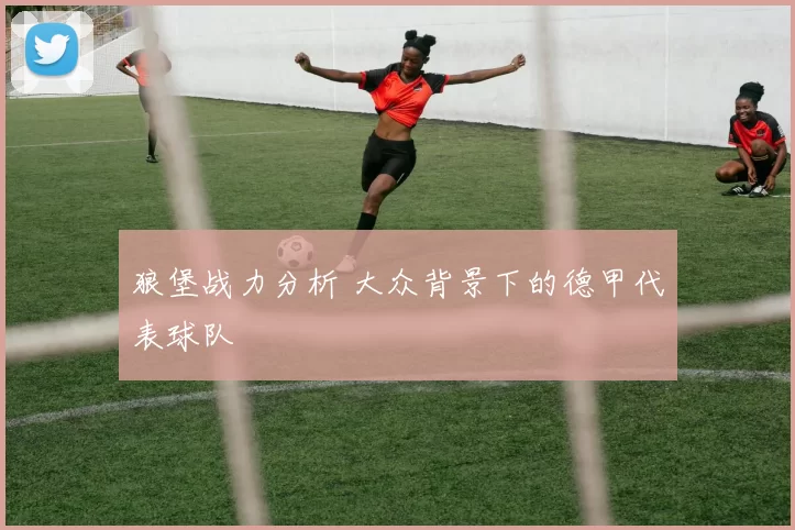 狼堡战力分析 大众背景下的德甲代表球队