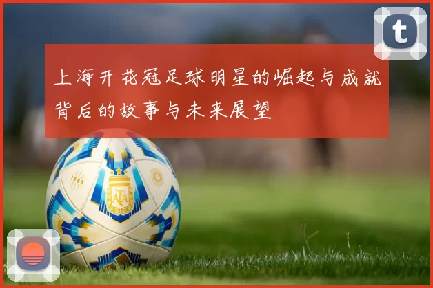上海开花冠足球明星的崛起与成就背后的故事与未来展望