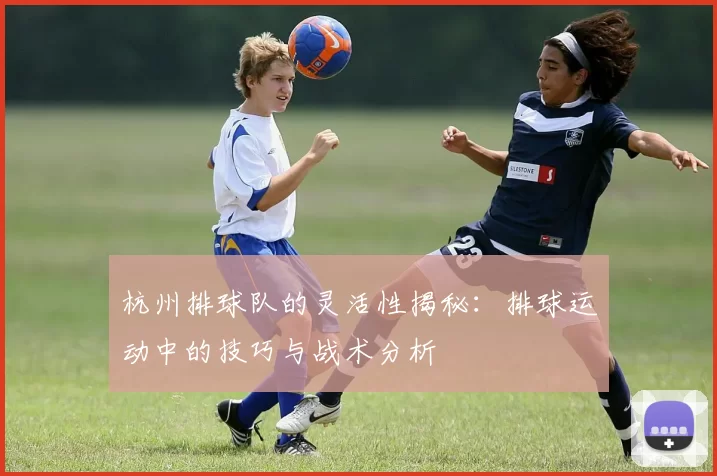 杭州排球队的灵活性揭秘：排球运动中的技巧与战术分析