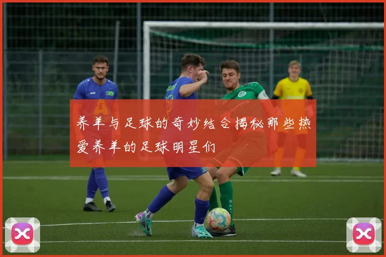 养羊与足球的奇妙结合揭秘那些热爱养羊的足球明星们