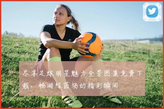 尽享足球明星魅力全景图集免费下载，畅游绿茵场的精彩瞬间