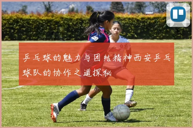 乒乓球的魅力与团结精神西安乒乓球队的协作之道探秘