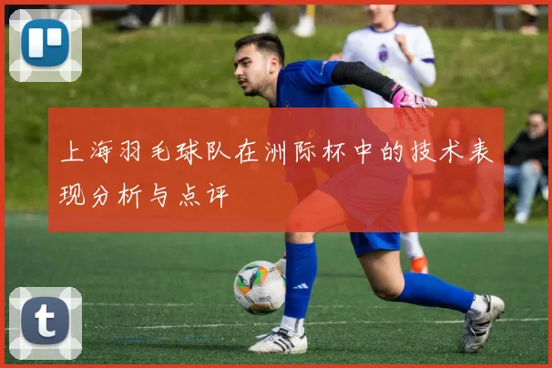 上海羽毛球队在洲际杯中的技术表现分析与点评