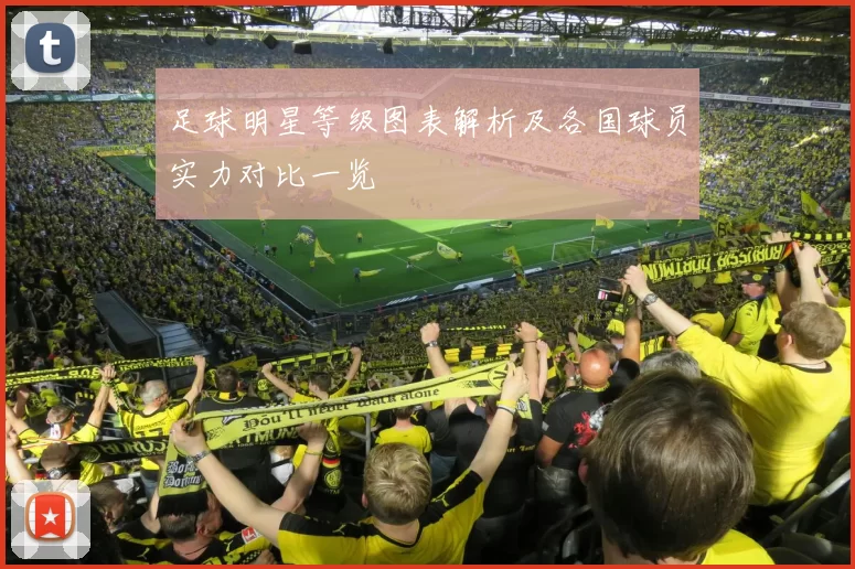 足球明星等级图表解析及各国球员实力对比一览