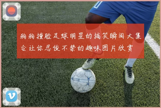 狗狗撞脸足球明星的搞笑瞬间大集合让你忍俊不禁的趣味图片欣赏