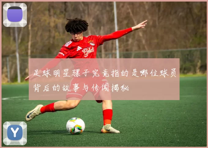 足球明星骡子究竟指的是哪位球员背后的故事与传闻揭秘