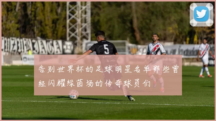 告别世界杯的足球明星名单那些曾经闪耀绿茵场的传奇球员们