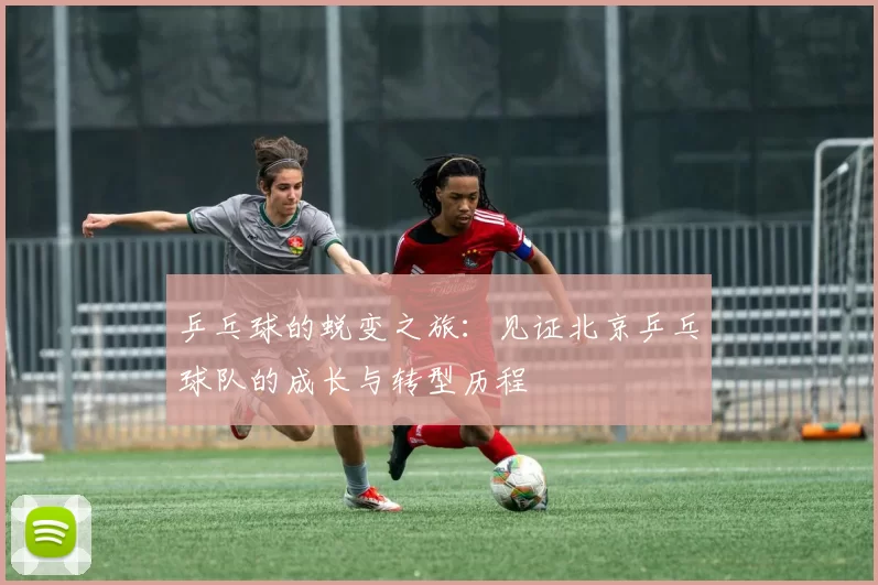 乒乓球的蜕变之旅：见证北京乒乓球队的成长与转型历程