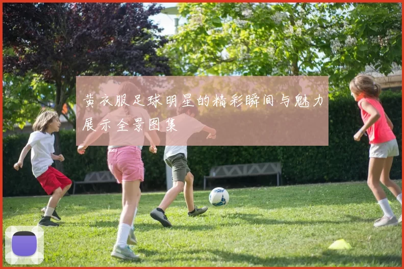 黄衣服足球明星的精彩瞬间与魅力展示全景图集