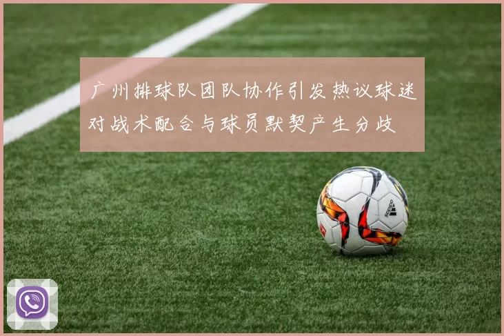 广州排球队团队协作引发热议球迷对战术配合与球员默契产生分歧