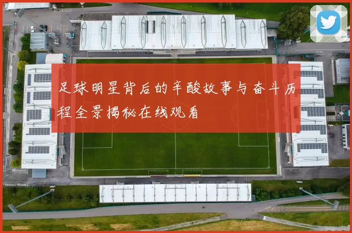 足球明星背后的辛酸故事与奋斗历程全景揭秘在线观看