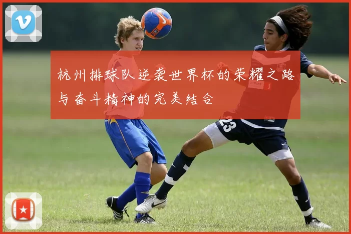 杭州排球队逆袭世界杯的荣耀之路与奋斗精神的完美结合