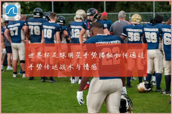 世界杯足球明星手势揭秘如何通过手势传达战术与情感