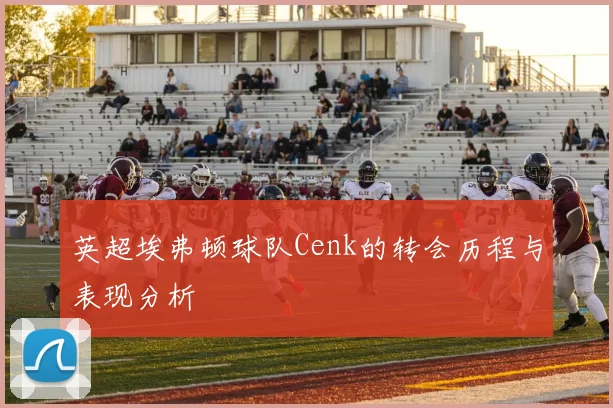 英超埃弗顿球队Cenk的转会历程与表现分析