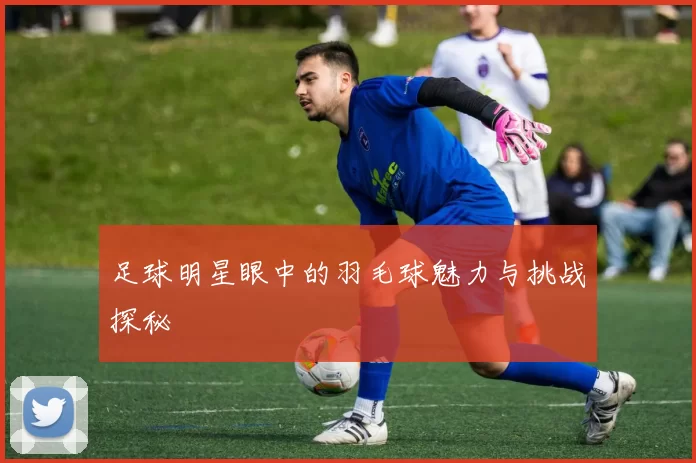 足球明星眼中的羽毛球魅力与挑战探秘
