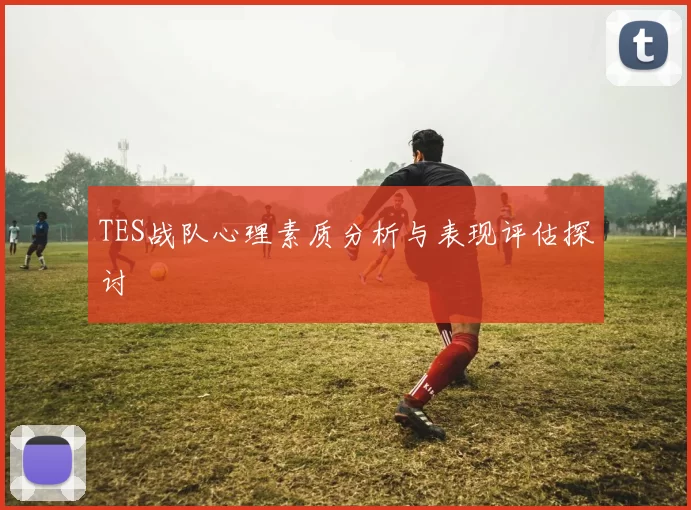 TES战队心理素质分析与表现评估探讨