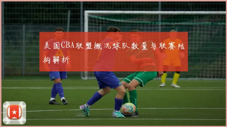 美国CBA联盟概况球队数量与联赛结构解析